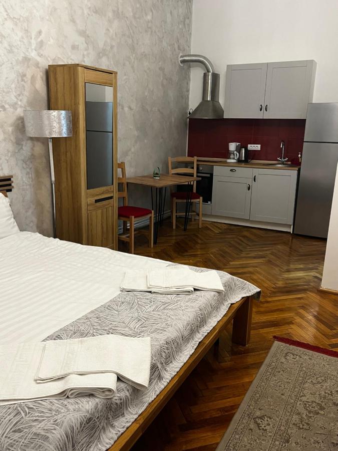 Mira Central Studio Brašov Exteriér fotografie